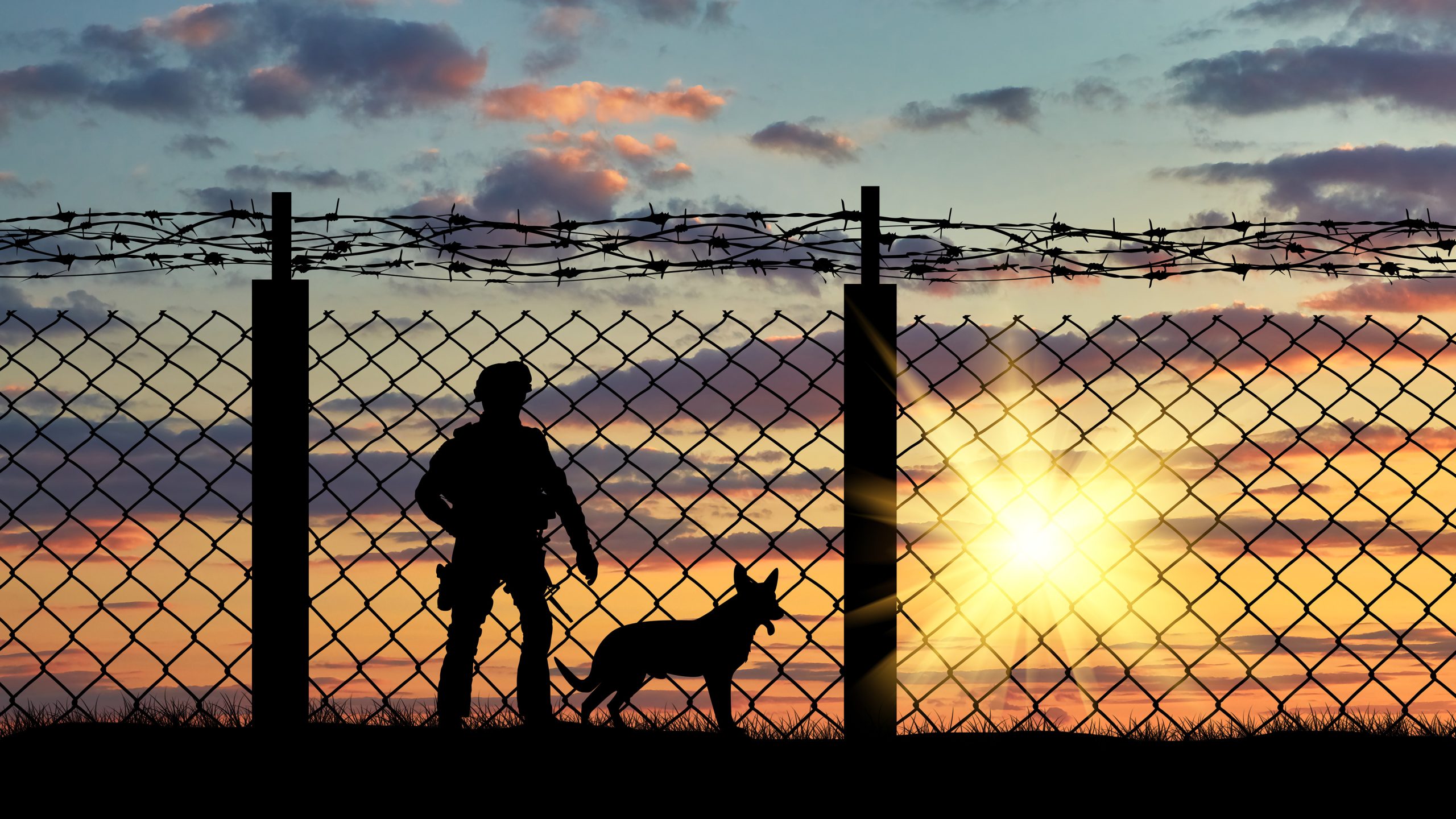 Security Inspection