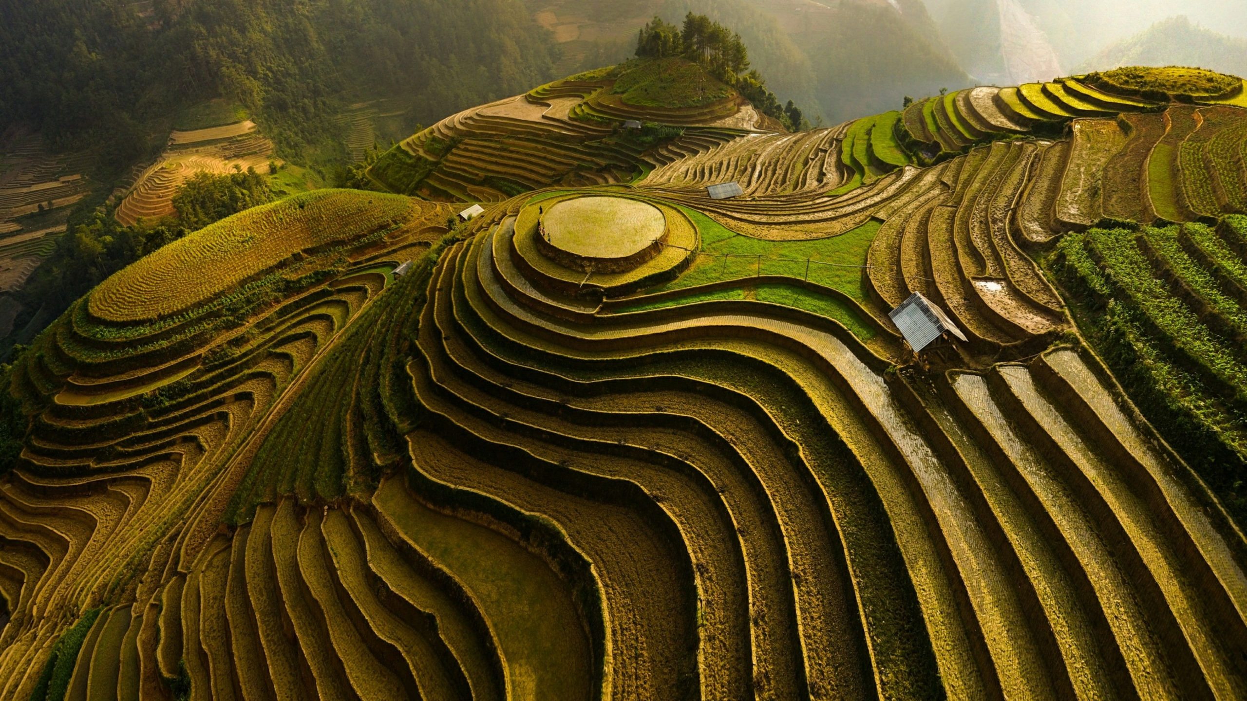 Agriculture and Forestry